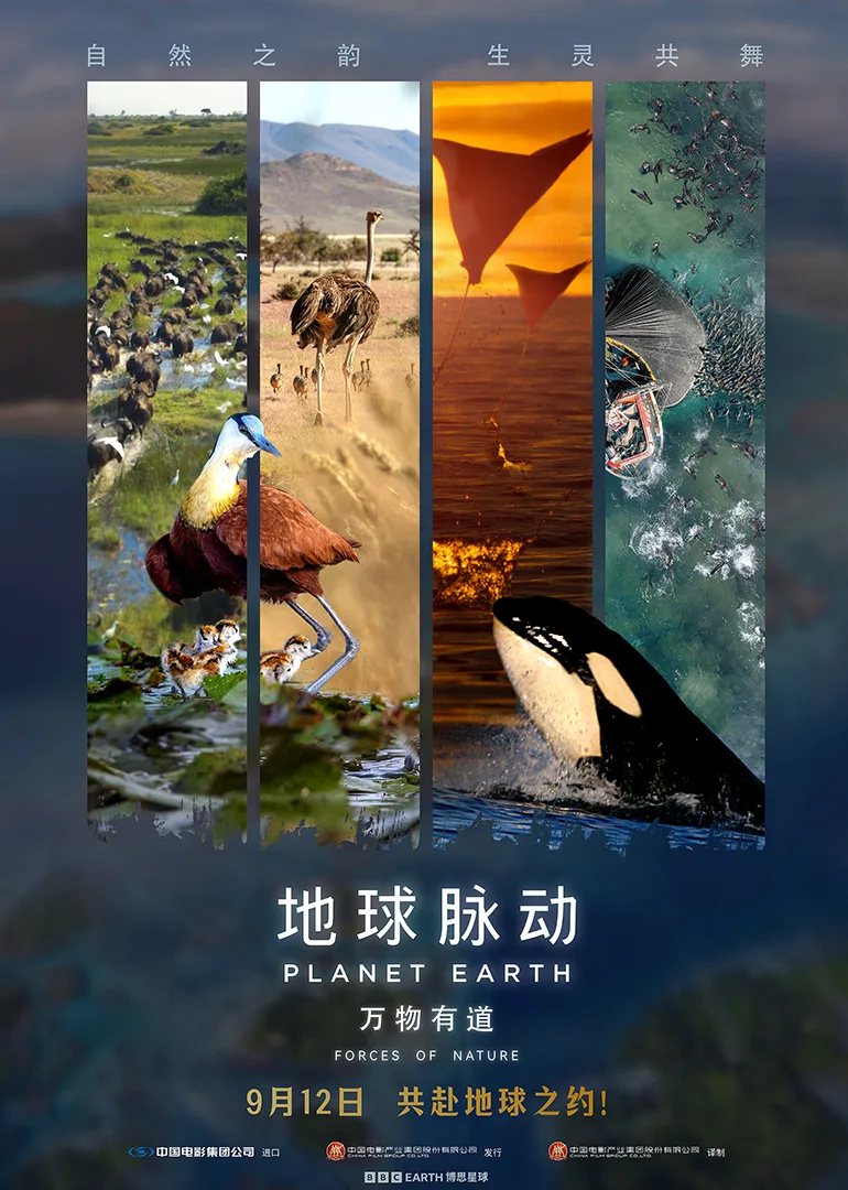 地球脉动:万物有道