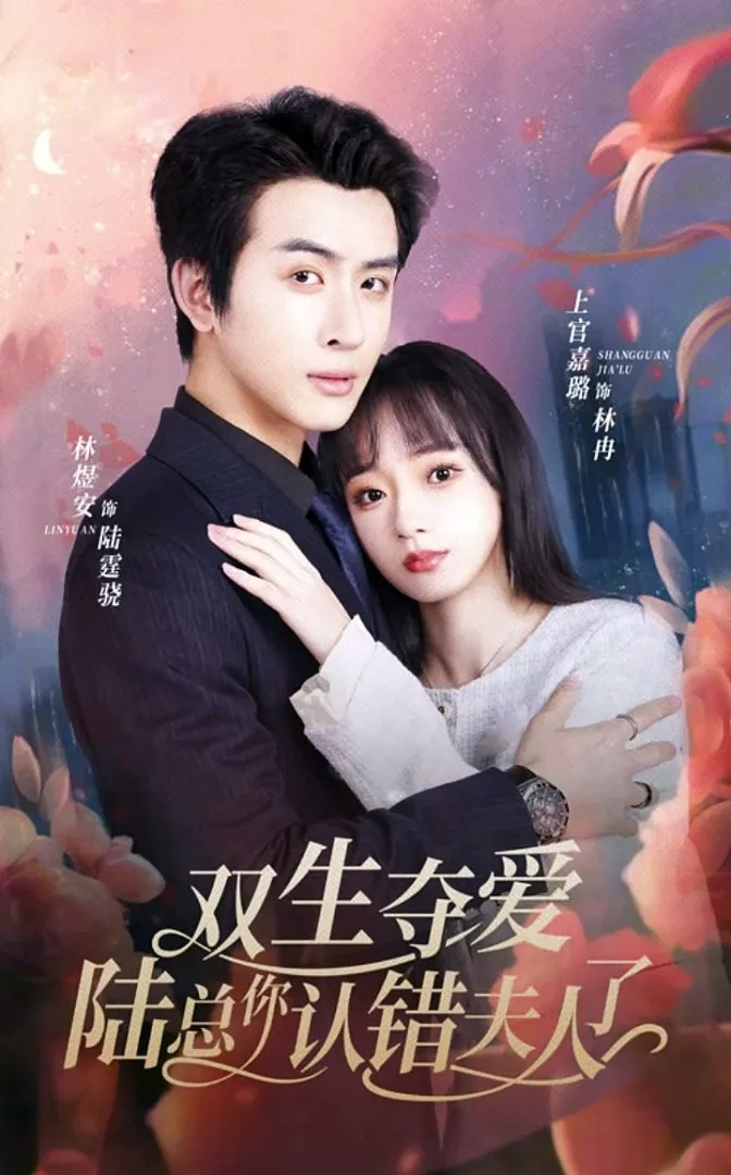 双生夺爱,陆总你认错夫人了