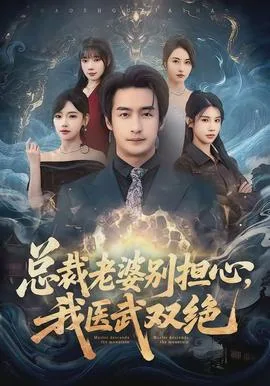 总裁老婆别担心,我医武双绝