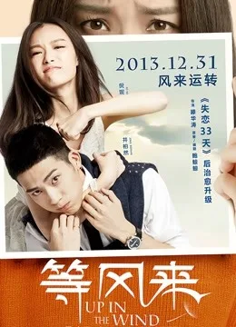 等风来(无障碍解说版)