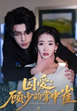 囚爱:顾少的掌中雀