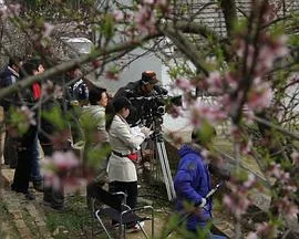 夫妻哨