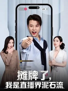 摊牌了,我是直播界泥石流