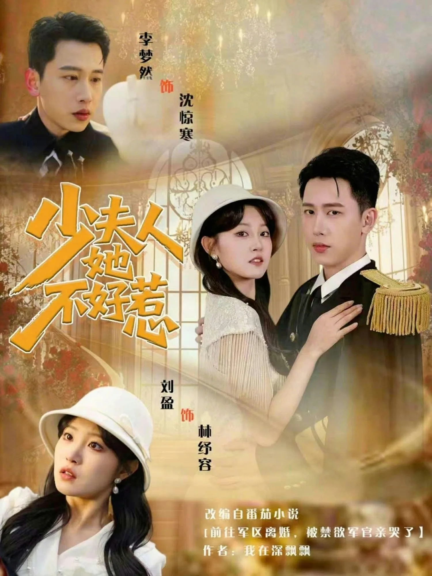 少夫人她不好惹