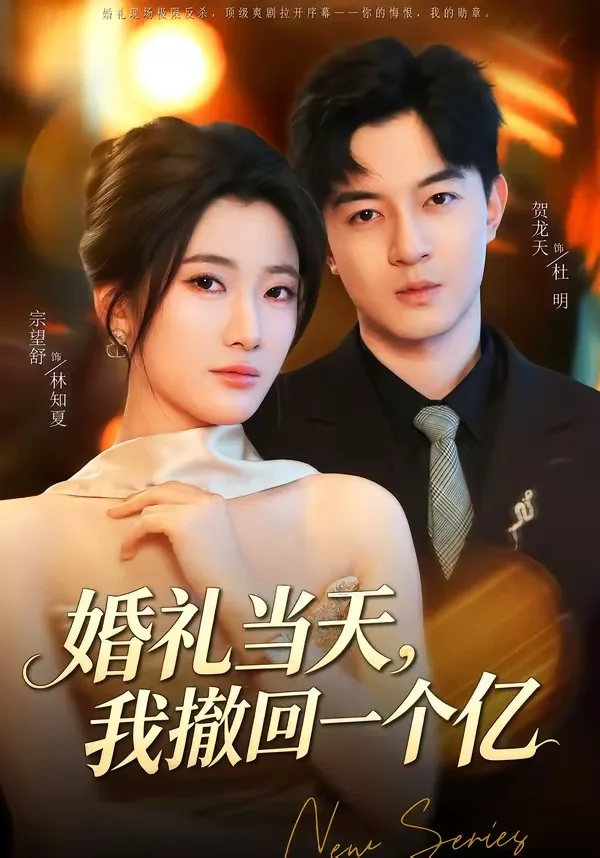 婚礼当天,我撤回一个亿