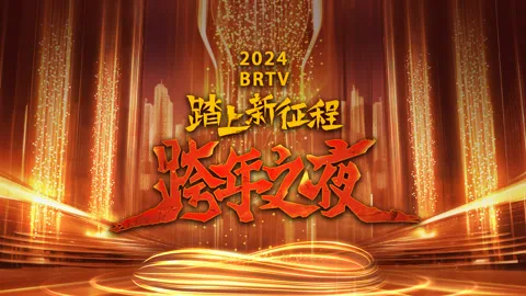 北京卫视2024跨年晚会
