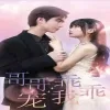 哥哥，乖乖宠我